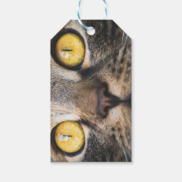 Nahe Aufnahme von Katze mit GelbAugen Geschenkanhänger