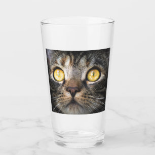 Nahe Aufnahme von Katze mit GelbAugen Glas