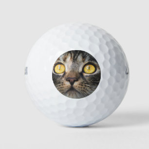 Nahe Aufnahme von Katze mit GelbAugen Golfball