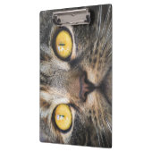 Nahe Aufnahme von Katze mit GelbAugen Klemmbrett (Links)