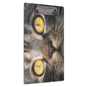 Nahe Aufnahme von Katze mit GelbAugen Klemmbrett (Rechts)