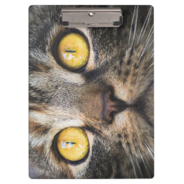 Nahe Aufnahme von Katze mit GelbAugen Klemmbrett