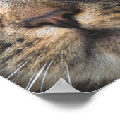 Nahe Aufnahme von Katze mit GelbAugen Poster (Ecke)
