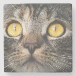 Nahe Aufnahme von Katze mit GelbAugen Steinuntersetzer