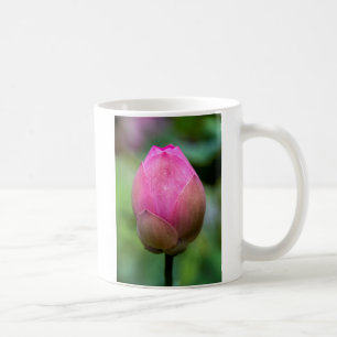 Nahe Aufnahme von Lotus Blume bud, Bali Kaffeetasse