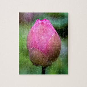 Nahe Aufnahme von Lotus Blume bud, Bali Puzzle