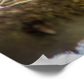 Nahe Aufnahme von Stachelschweine in einem Baum Poster (Ecke)