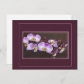 Nahe Aufnahmen von Violett und Weißem Orchid Postkarte (Vorne/Hinten)