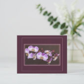 Nahe Aufnahmen von Violett und Weißem Orchid Postkarte (Stehend Vorderseite)