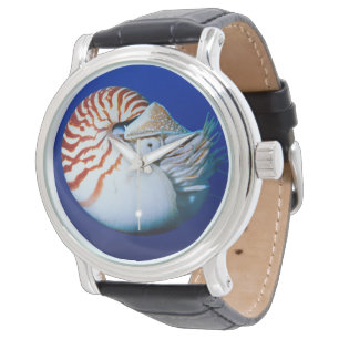Nahe Bildung von Chambered Nautilus Armbanduhr