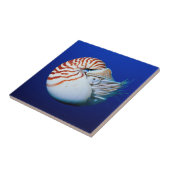 Nahe Bildung von Chambered Nautilus Fliese (Seite)