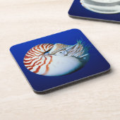 Nahe Bildung von Chambered Nautilus Getränkeuntersetzer (Linke Seite)