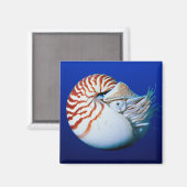 Nahe Bildung von Chambered Nautilus Magnet (Vorderseite/Rückseite)