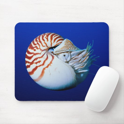 Nahe Bildung von Chambered Nautilus Mousepad (Mit Mouse)