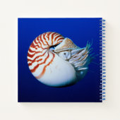 Nahe Bildung von Chambered Nautilus Notizblock (Rückseite)