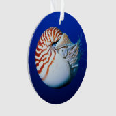 Nahe Bildung von Chambered Nautilus Ornament (Vorderseite)