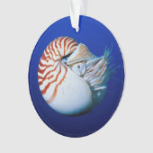 Nahe Bildung von Chambered Nautilus Ornament (Vorderseite)