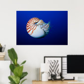 Nahe Bildung von Chambered Nautilus Poster (Heimbüro)