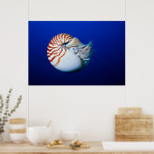 Nahe Bildung von Chambered Nautilus Poster (Küche)
