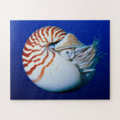 Nahe Bildung von Chambered Nautilus Puzzle (Horizontal)