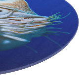 Nahe Bildung von Chambered Nautilus Schneidebrett (Ecke)