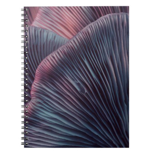 Nahe bis schöne Pilze mit Farblicht in Notizblock (Vorderseite)