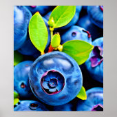 Nahe Blaubeeren Poster (Vorne)