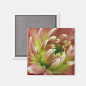 Nahe Blume Magnet (Vorderseite/Rückseite)