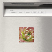 Nahe Blume Magnet (In Situ (Geschirrspüler))