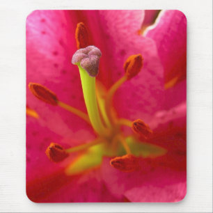 Nahe Blume Mousepad