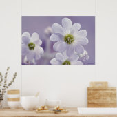Nahe Blume Poster (Küche)