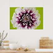 Nahe Blume Poster (Küche)
