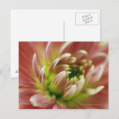 Nahe Blume Postkarte (Vorne/Hinten)