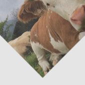 Nahe, braune und weiße Kuh Seidenpapier (Ausschnitt)