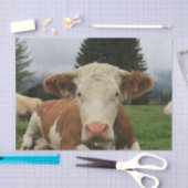 Nahe, braune und weiße Kuh Seidenpapier (Handwerk)