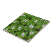 Nahe Brombeere mit weißen Blume Fliese (Seite)