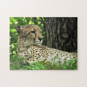 Nahe Cheetah Puzzle