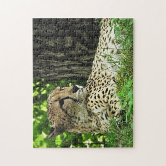 Nahe Cheetah Puzzle (Vertikal)