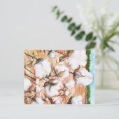 Nahe Cotton Field Postcard Postkarte (Stehend Vorderseite)