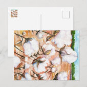 Nahe Cotton Field Postcard Postkarte (Vorne/Hinten)
