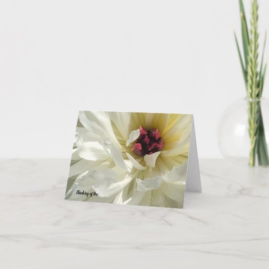 Nahe Creamy White Peony Blume Sympathie Karte (Vorderseite)