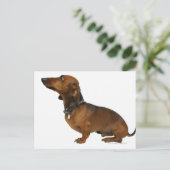 Nahe Dackel Postkarte (Stehend Vorderseite)