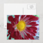 Nahe Dämmerung Postkarte (Vorne/Hinten)