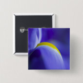 Nahe Details einer Blauen Flagge Iris. Button (Vorne & Hinten)