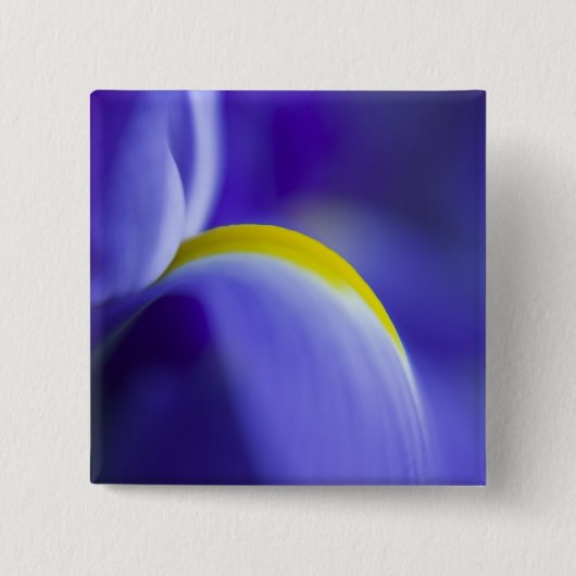 Nahe Details einer Blauen Flagge Iris. Button (Vorderseite)