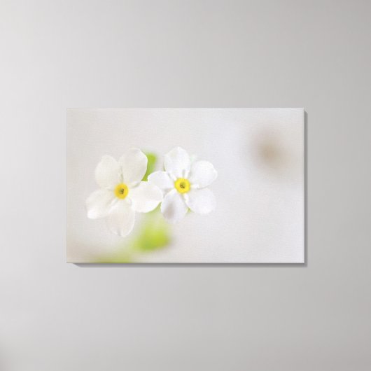 Nahe Erfassung der Blume 2 Leinwanddruck (Vorderseite)