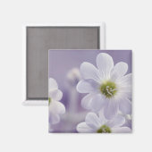 Nahe Erfassung der Blume 2 Magnet (Vorderseite/Rückseite)