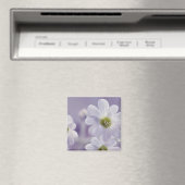 Nahe Erfassung der Blume 2 Magnet (In Situ (Geschirrspüler))