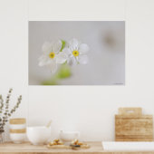 Nahe Erfassung der Blume 2 Poster (Küche)