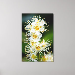 Nahe Erfassung winziger Blume Leinwanddruck
